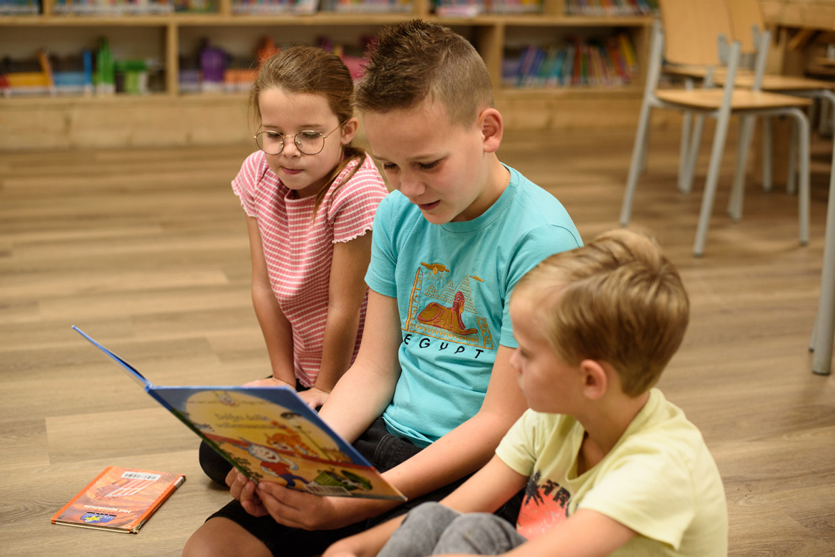 PCBO De Terebint 20 PCBO De Terebint 20